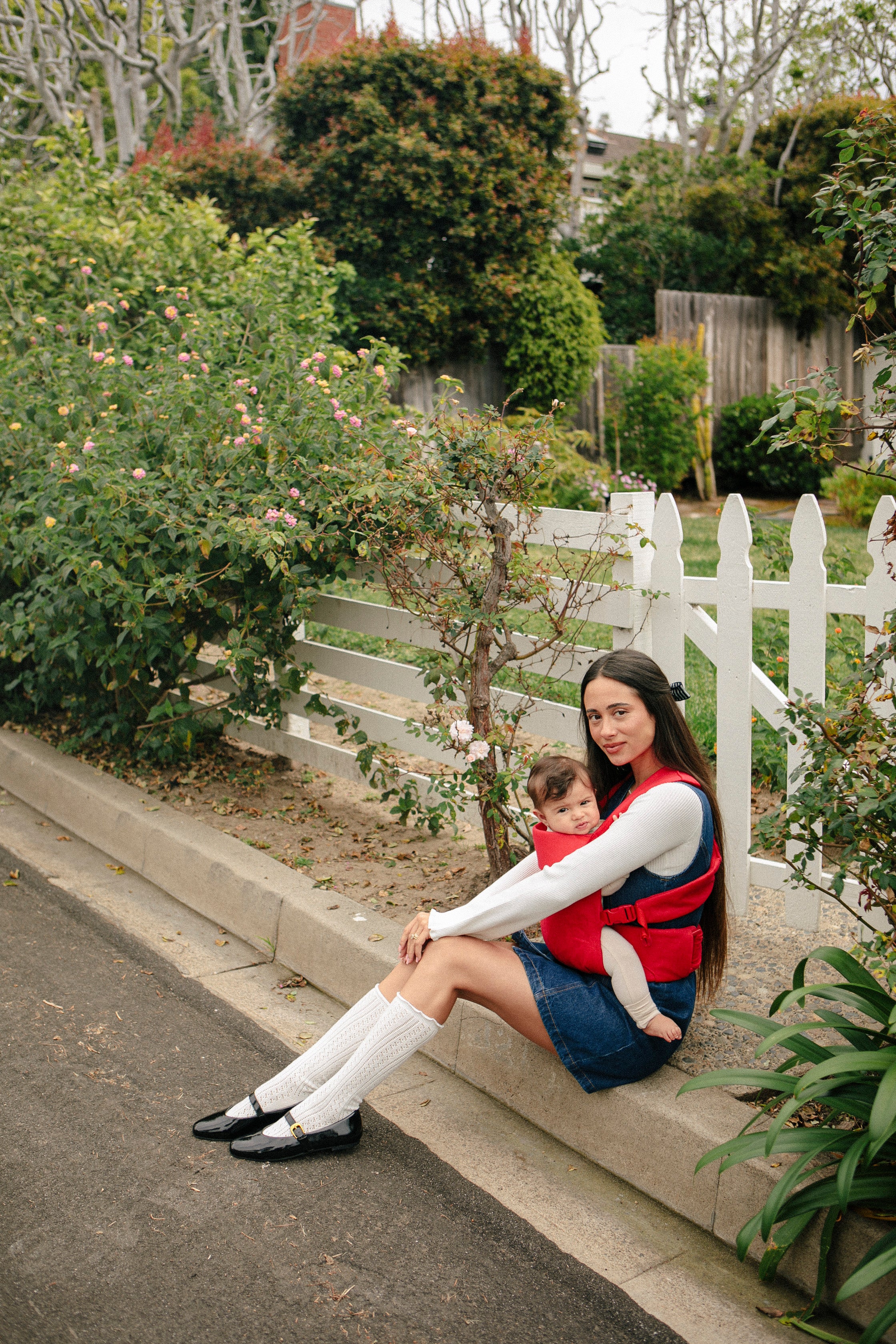 Cherry - Aerial Carrier - Image 2