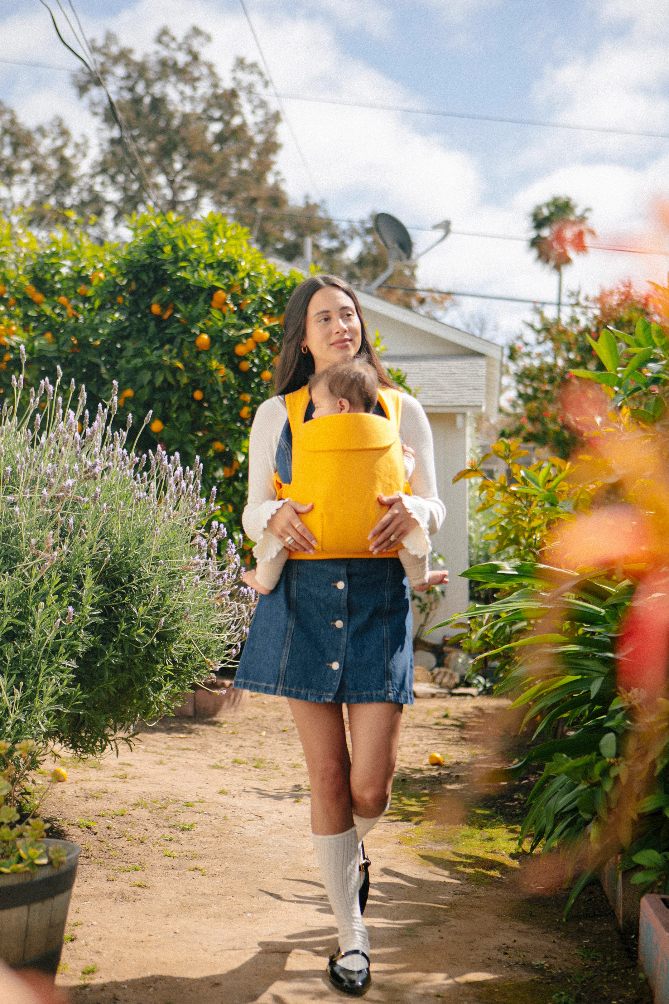 Clementine - Aerial Carrier - Image 2